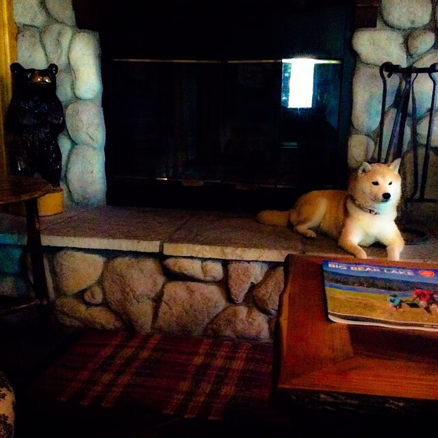 体育新闻中心上线体育热点内容聚合与推荐平台，体育全部新闻