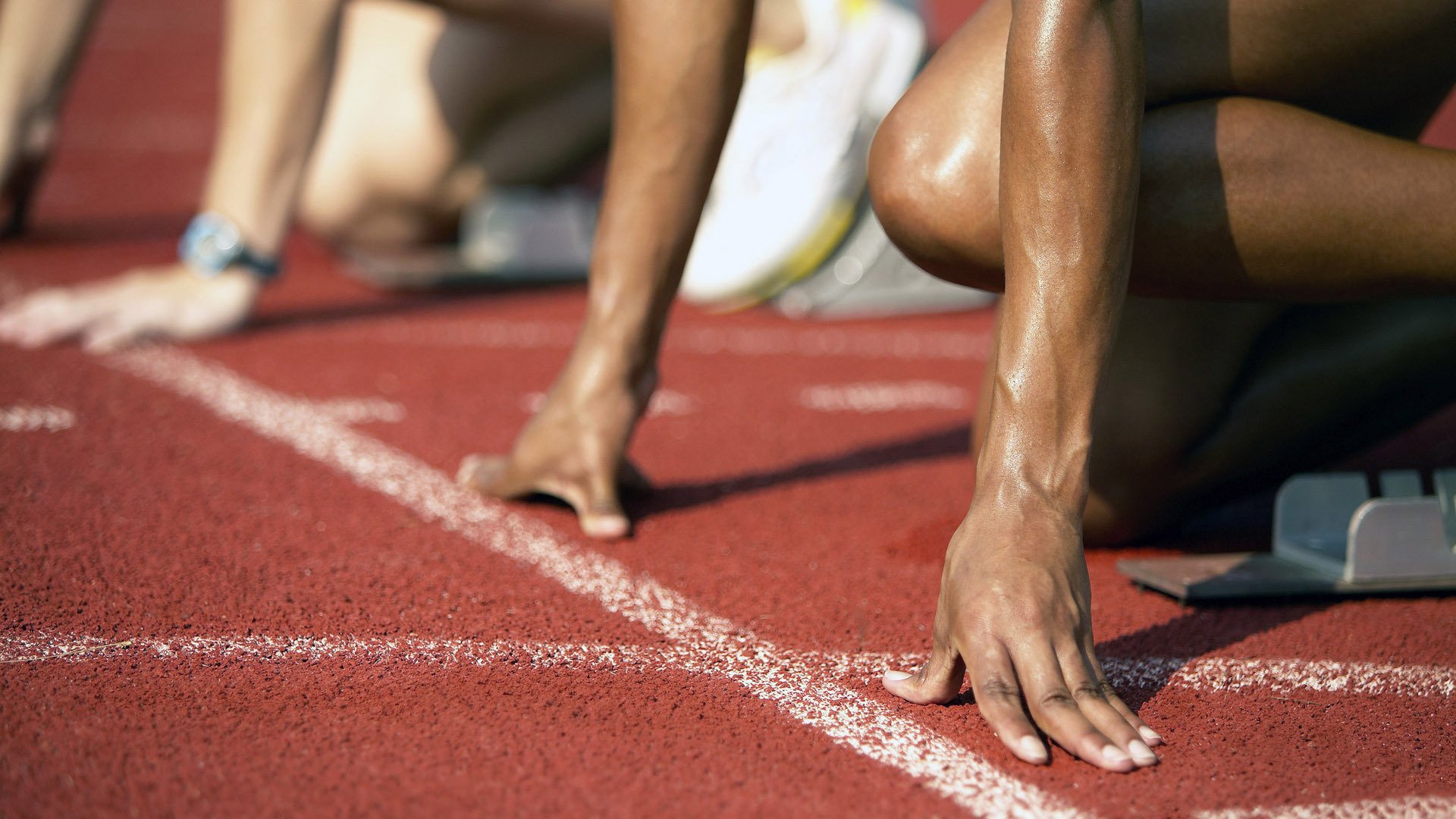 中国女排亚洲锦标赛大获全胜，夺取冠军奖牌，在今年的女排亚锦赛上,中国女排辉煌